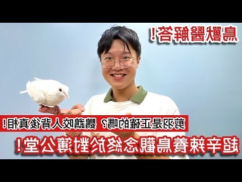 鸚鵡小木屋 爭議